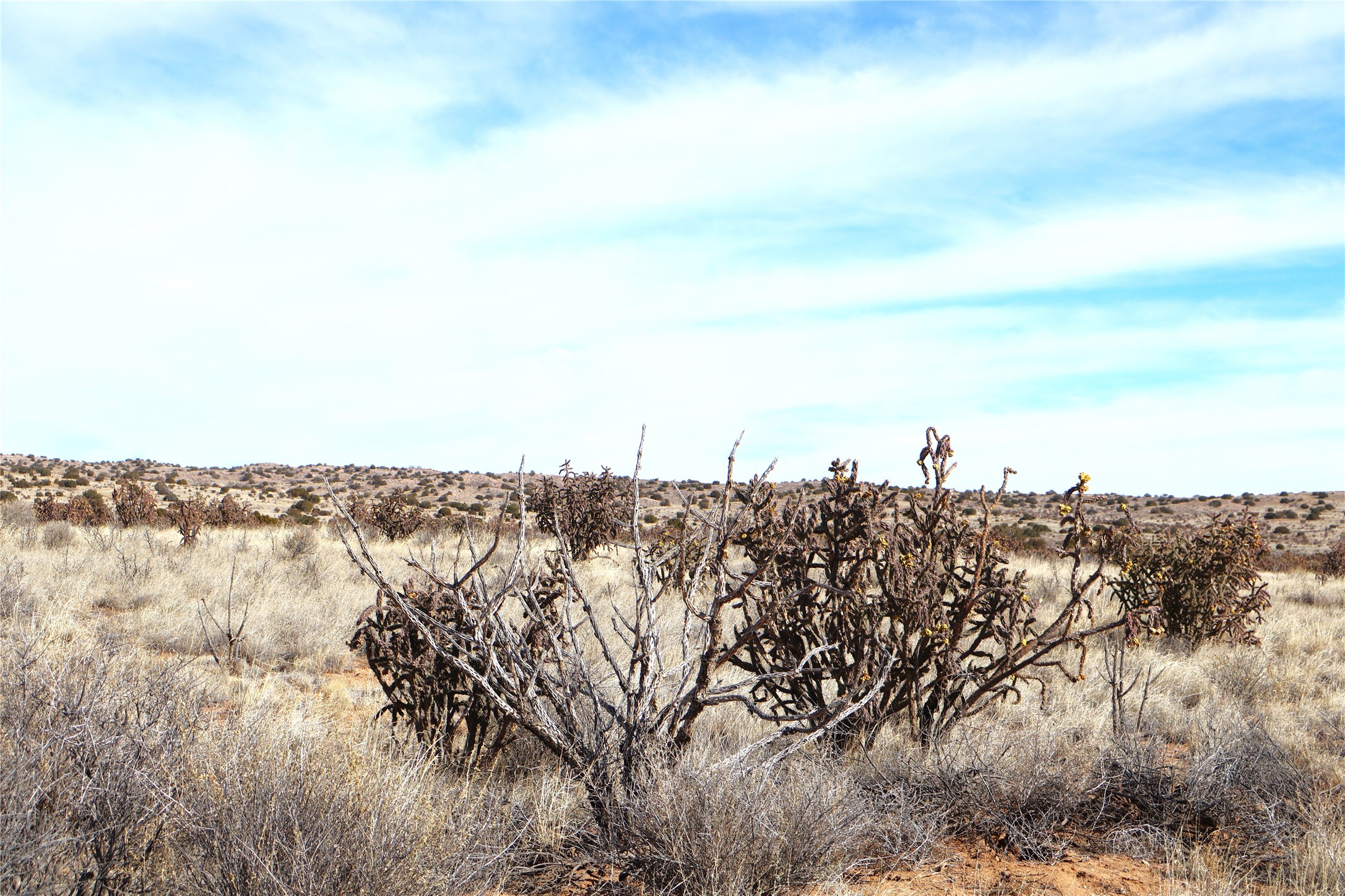 Lot 23, 24, 25 Rio Rancho Estates NE