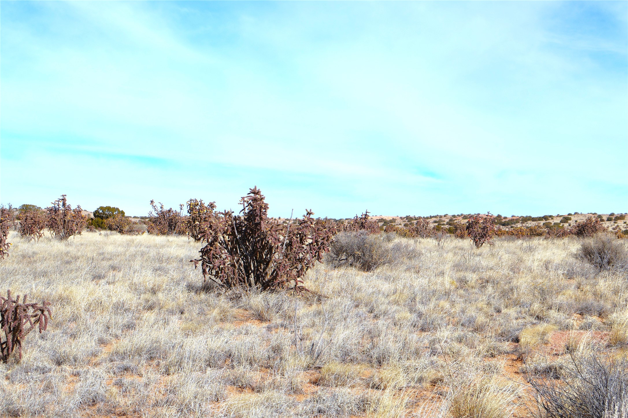 Lot 23, 24, 25 Rio Rancho Estates NE