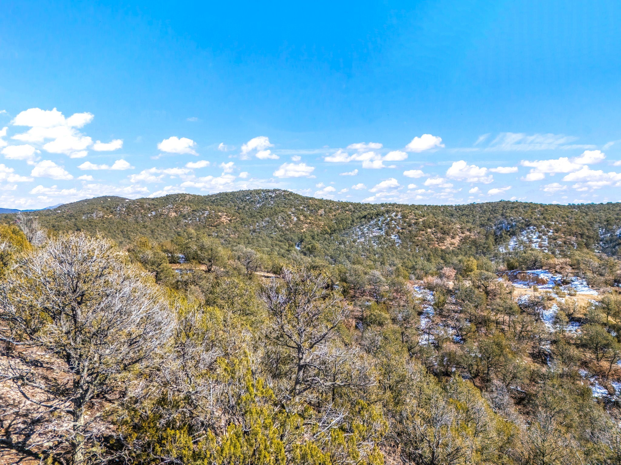 31 & 37 Bilotto Drive