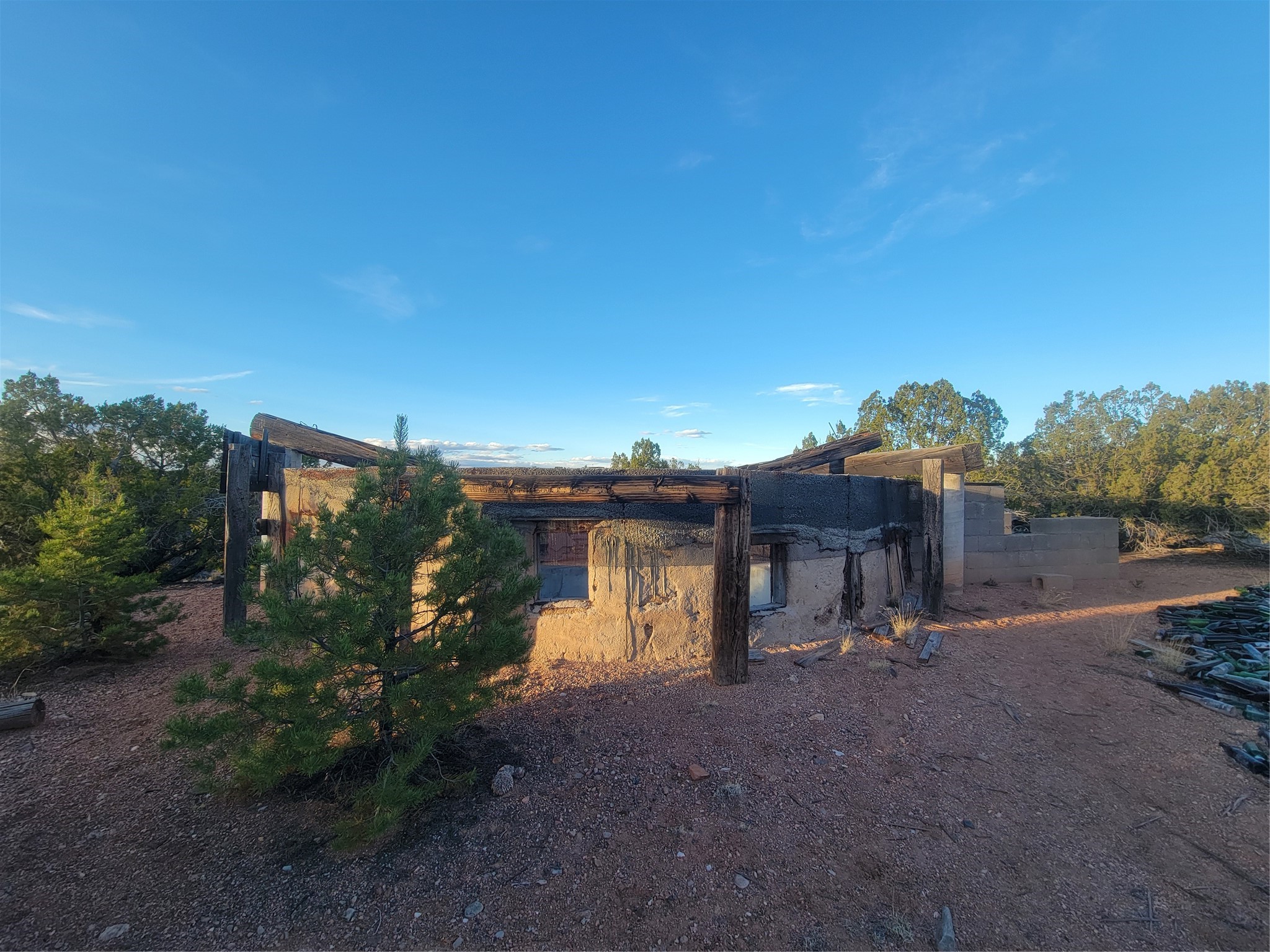 218 Horny Toad Road