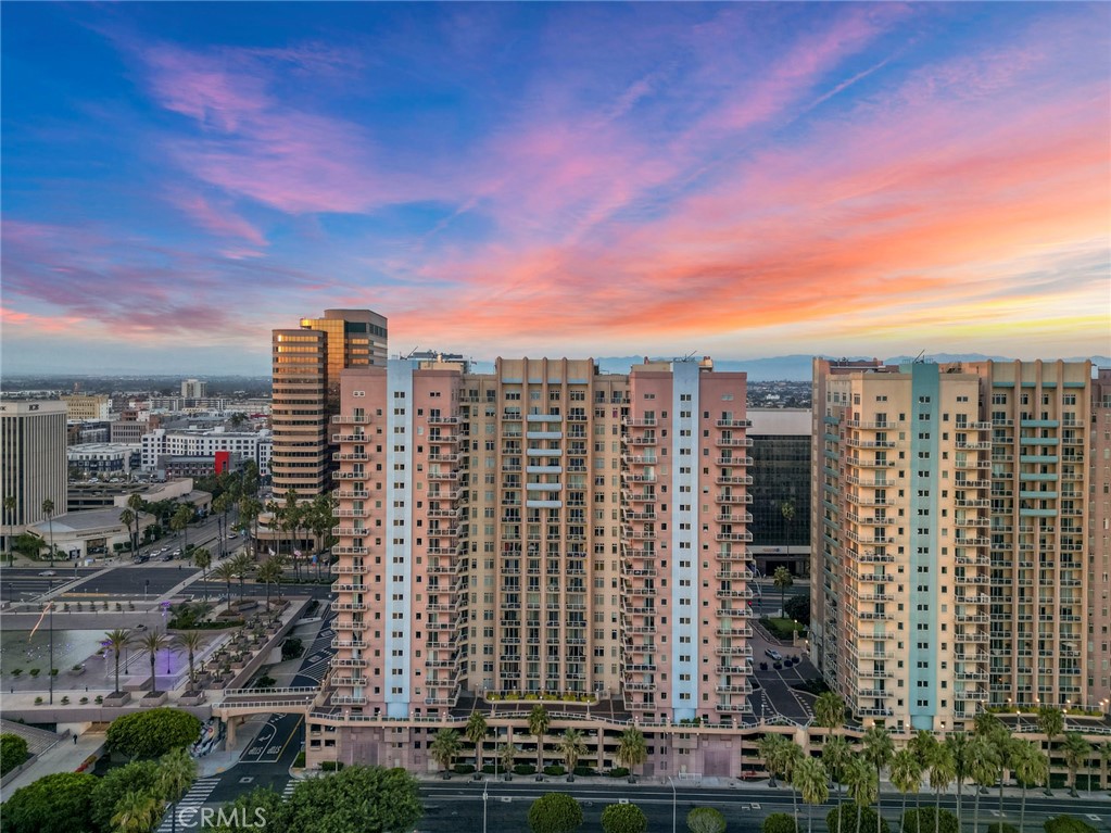 388 E Ocean Boulevard P8