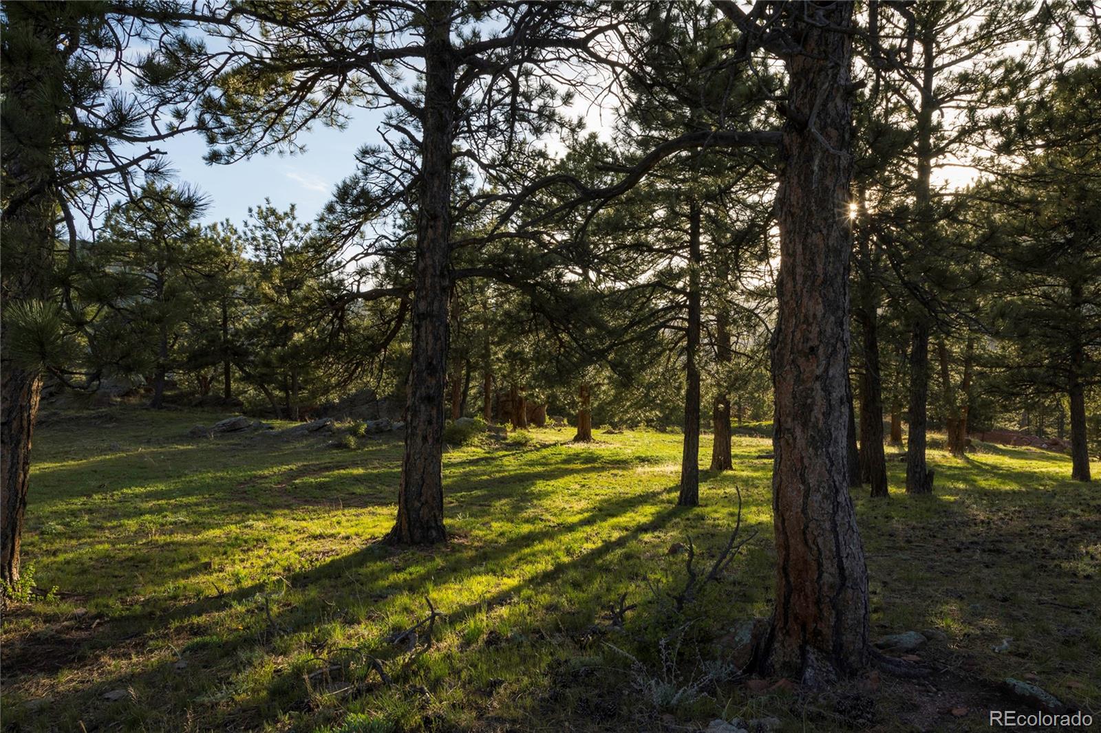 73 Canyon Pines Drive