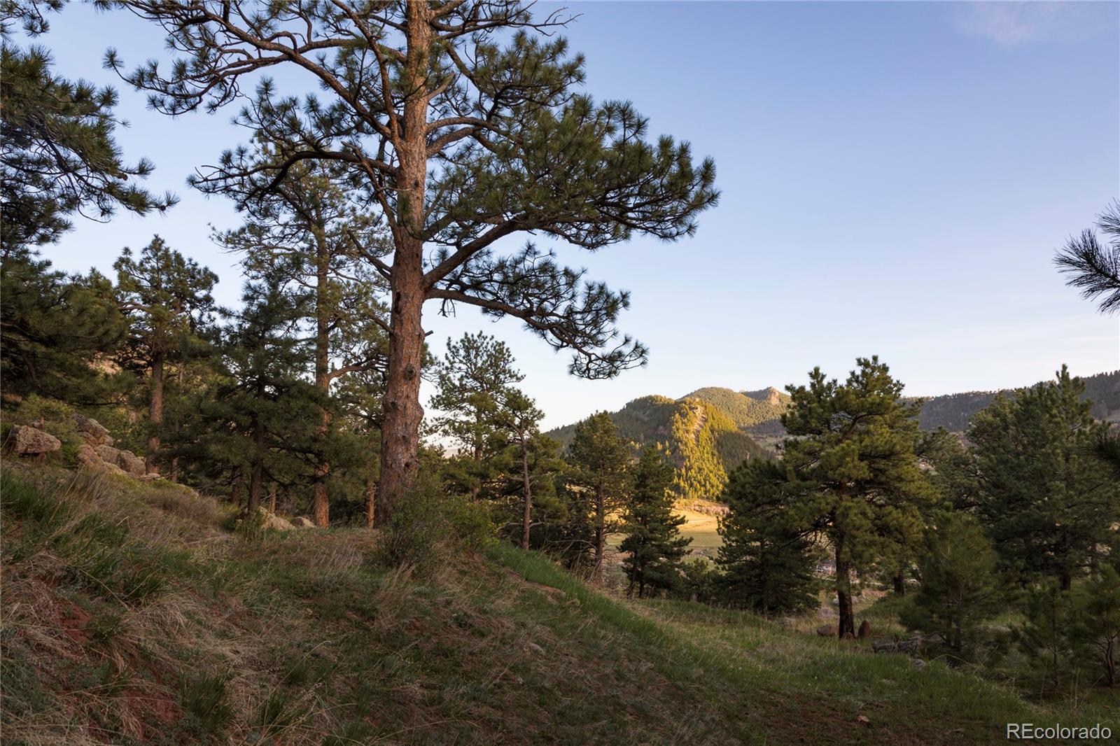 64 Canyon Pines Drive