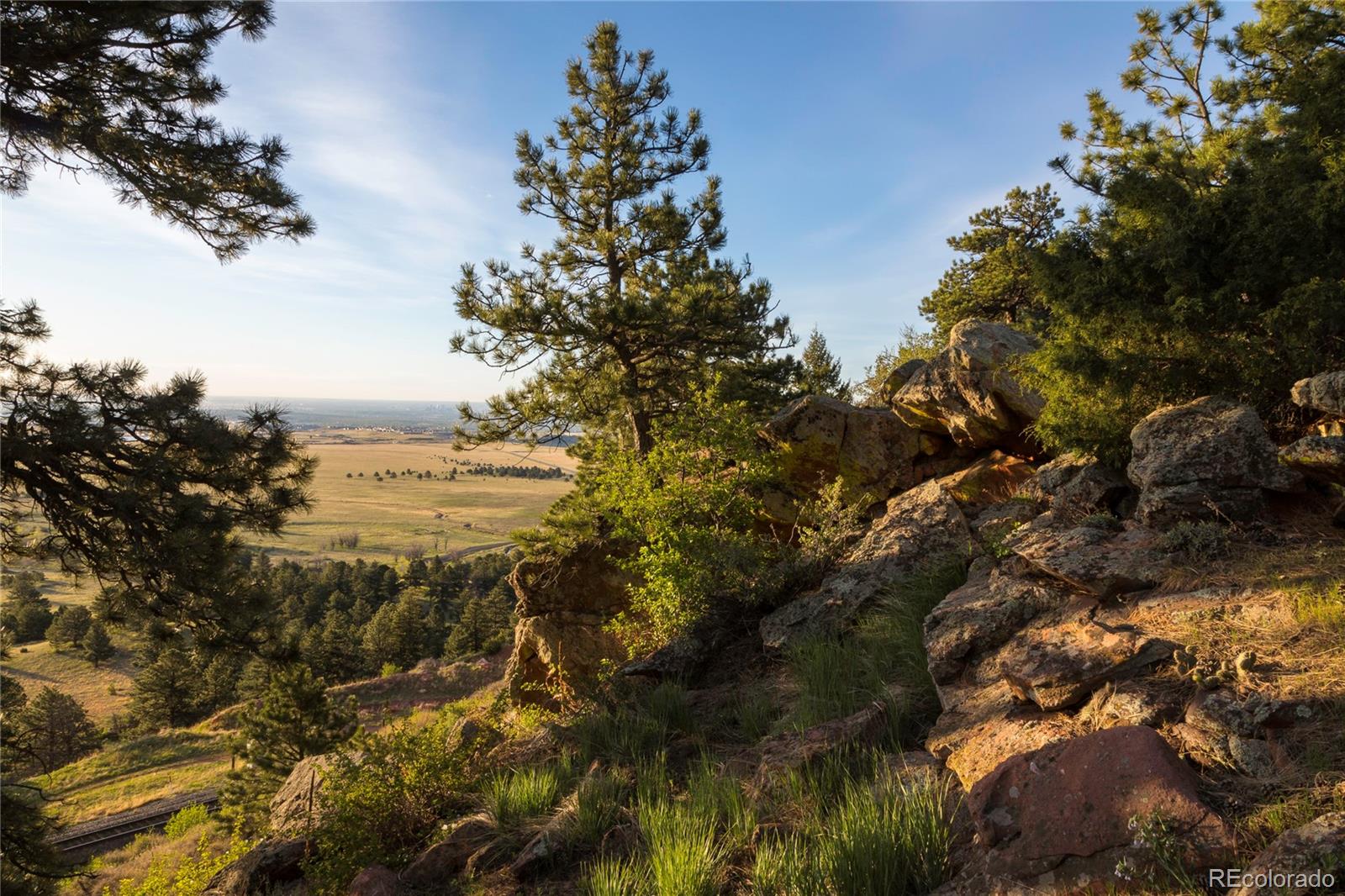 64 Canyon Pines Drive