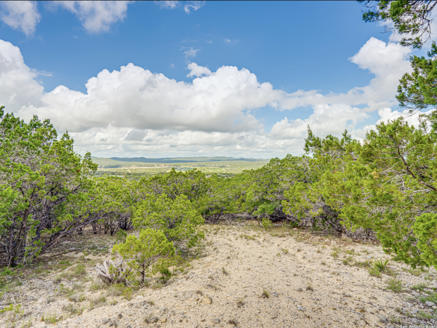 259 Forest Ridge