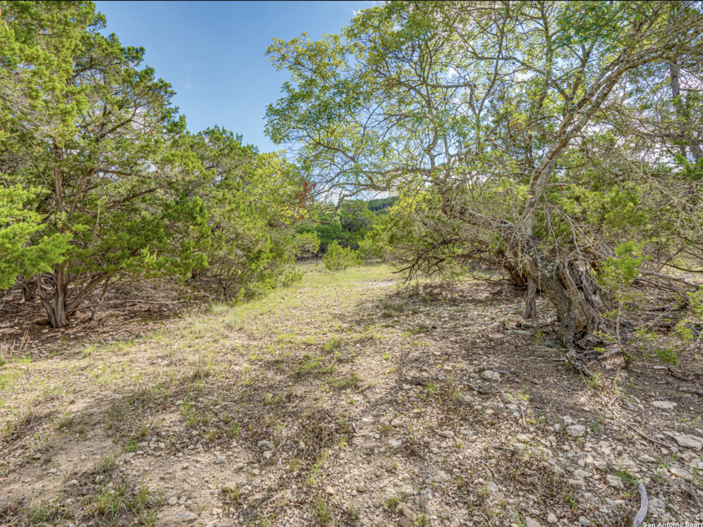 259 Forest Ridge
