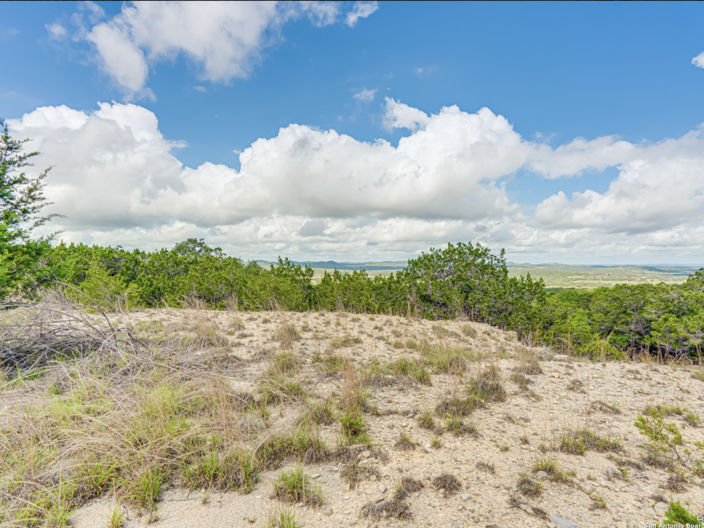 259 Forest Ridge