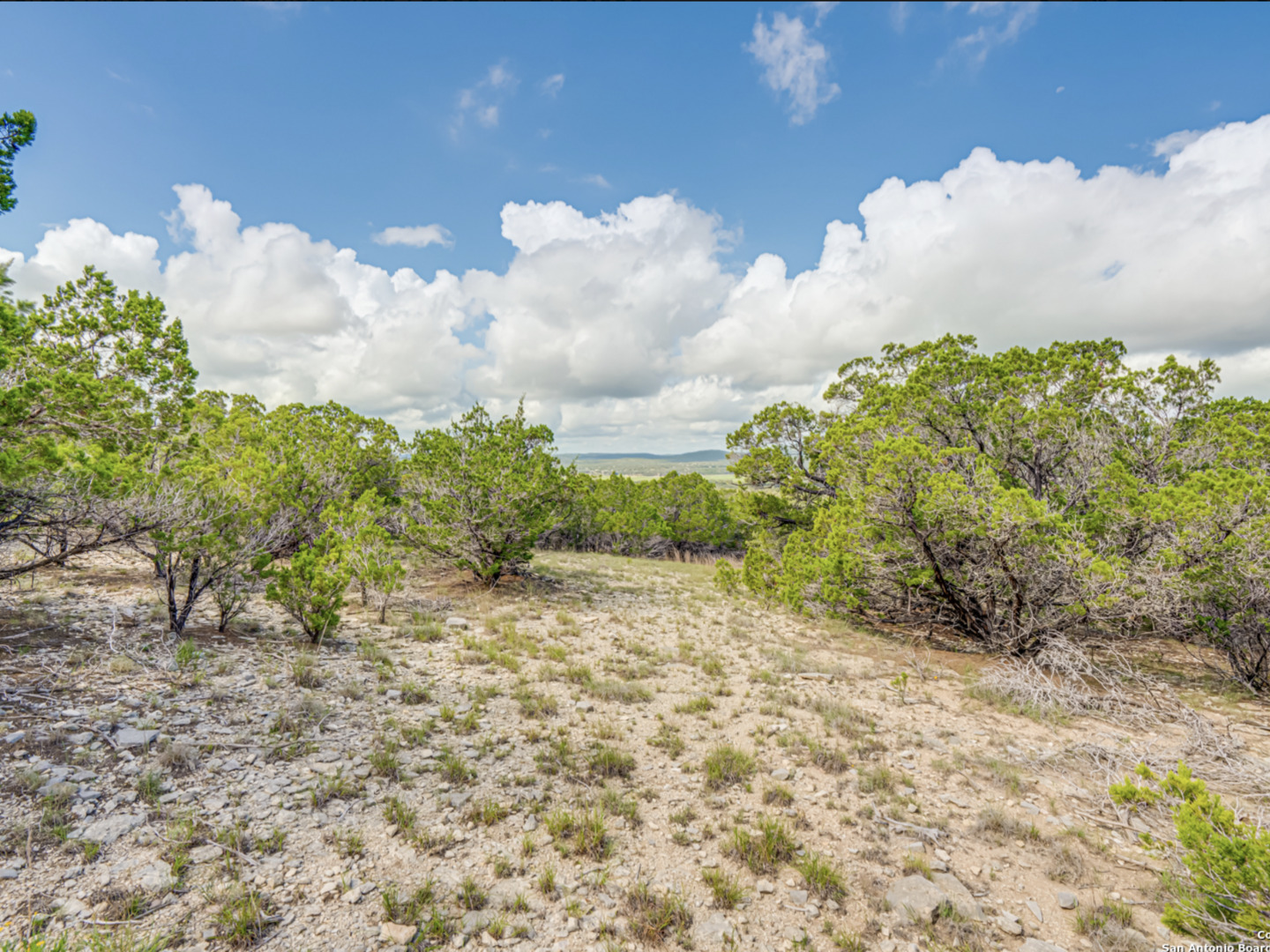 259 Forest Ridge