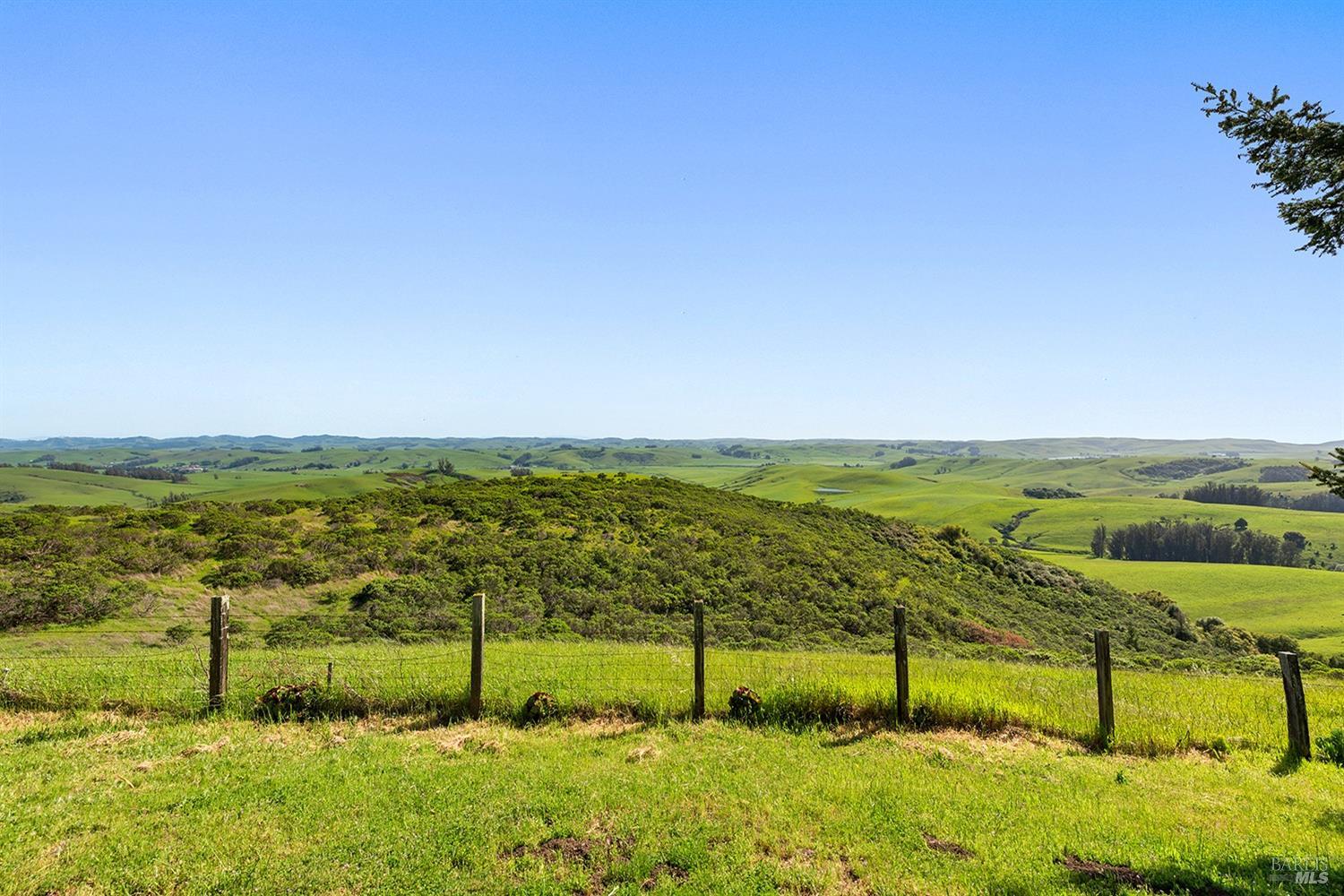 10515 Moonshine Road