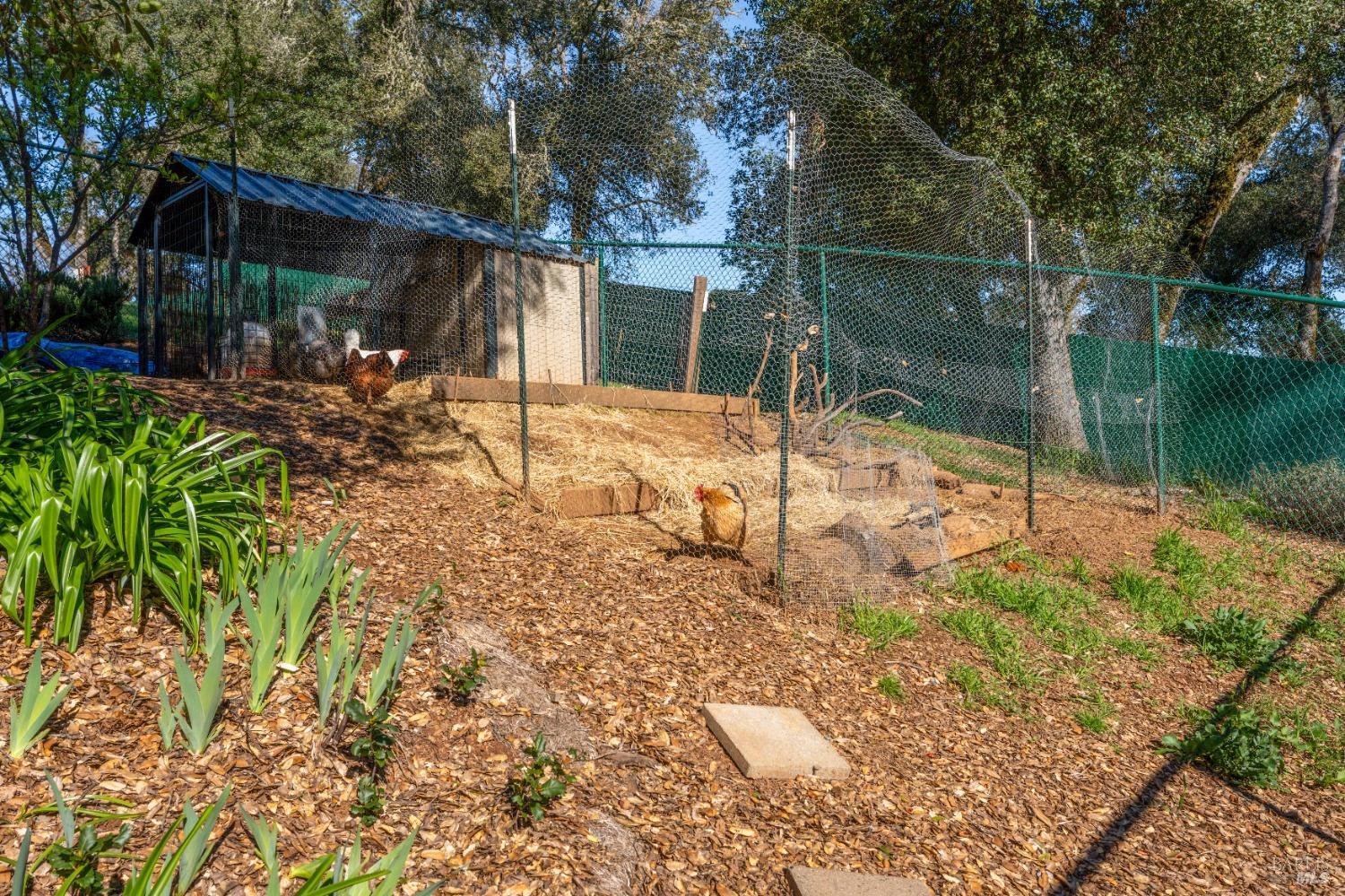 9320 Westside Potter Valley Rd