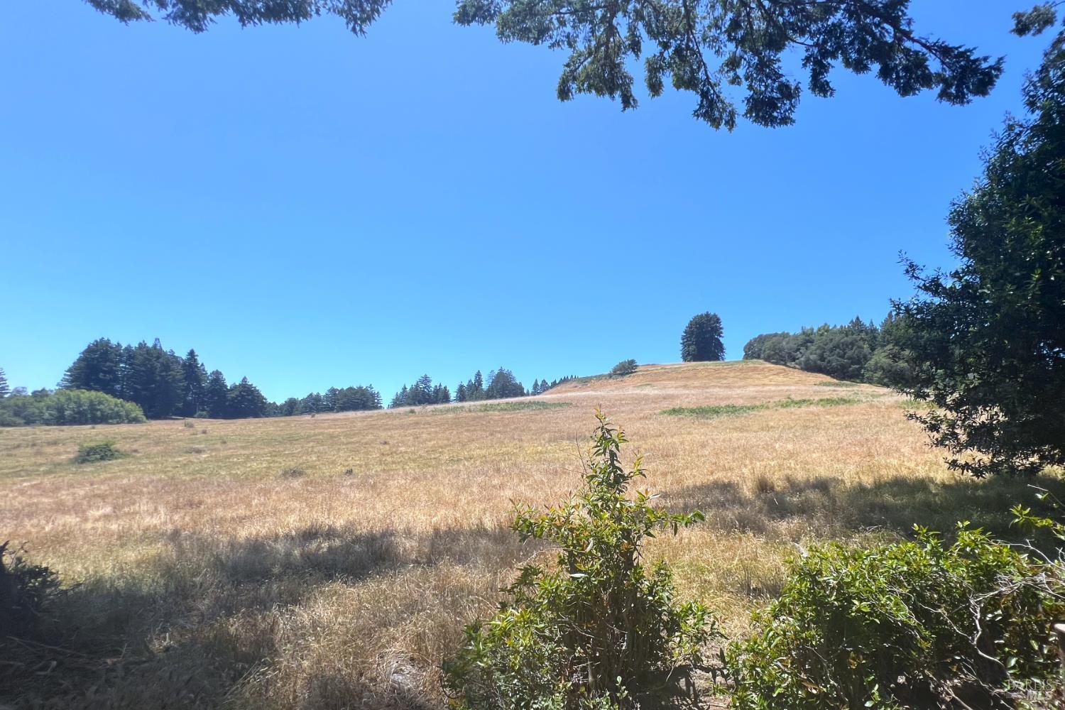 16880 Coleman Valley Road