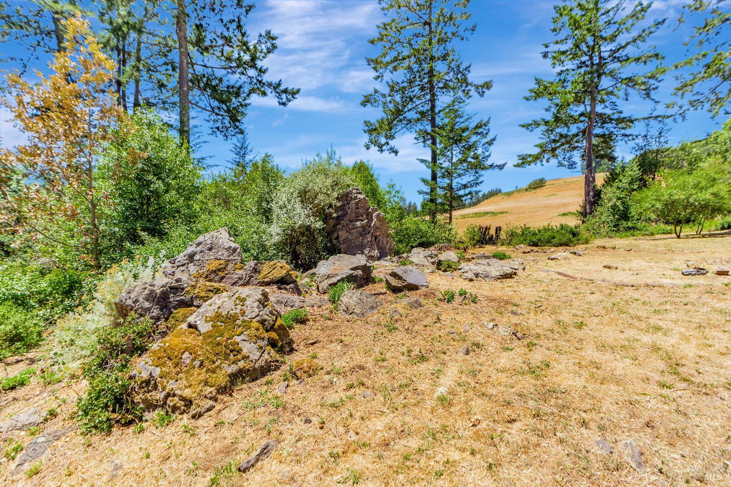 16880 Coleman Valley Road