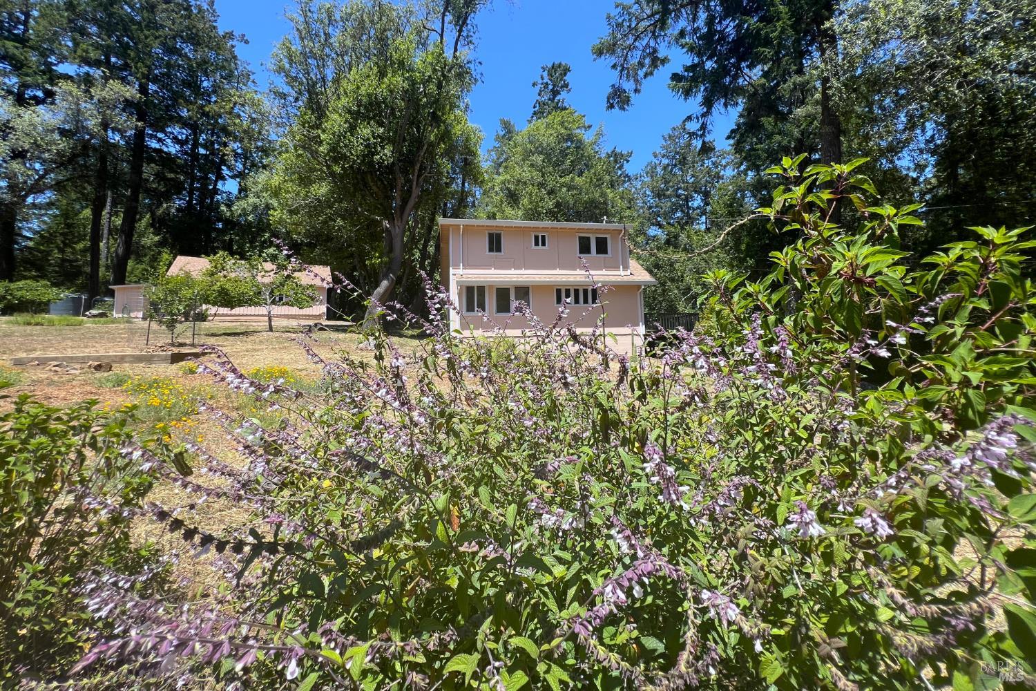 16880 Coleman Valley Road