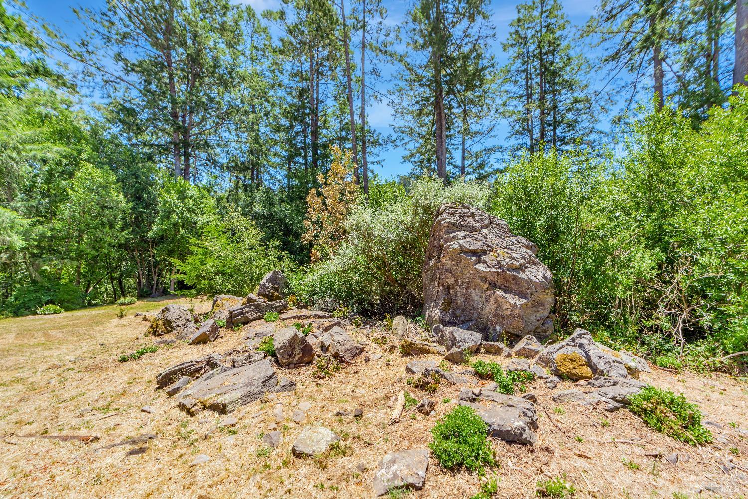 16880 Coleman Valley Road