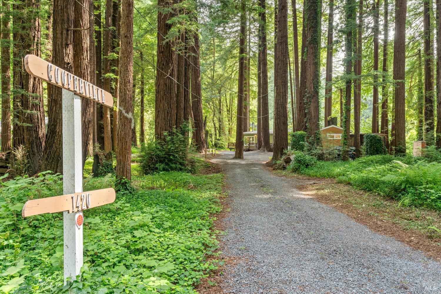 1420 Cazadero Hwy