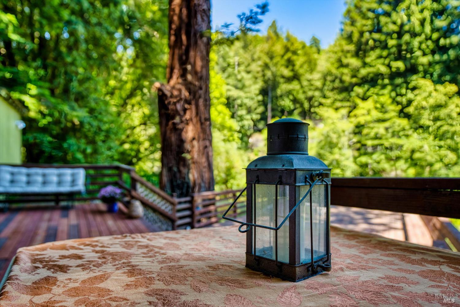 1420 Cazadero Hwy