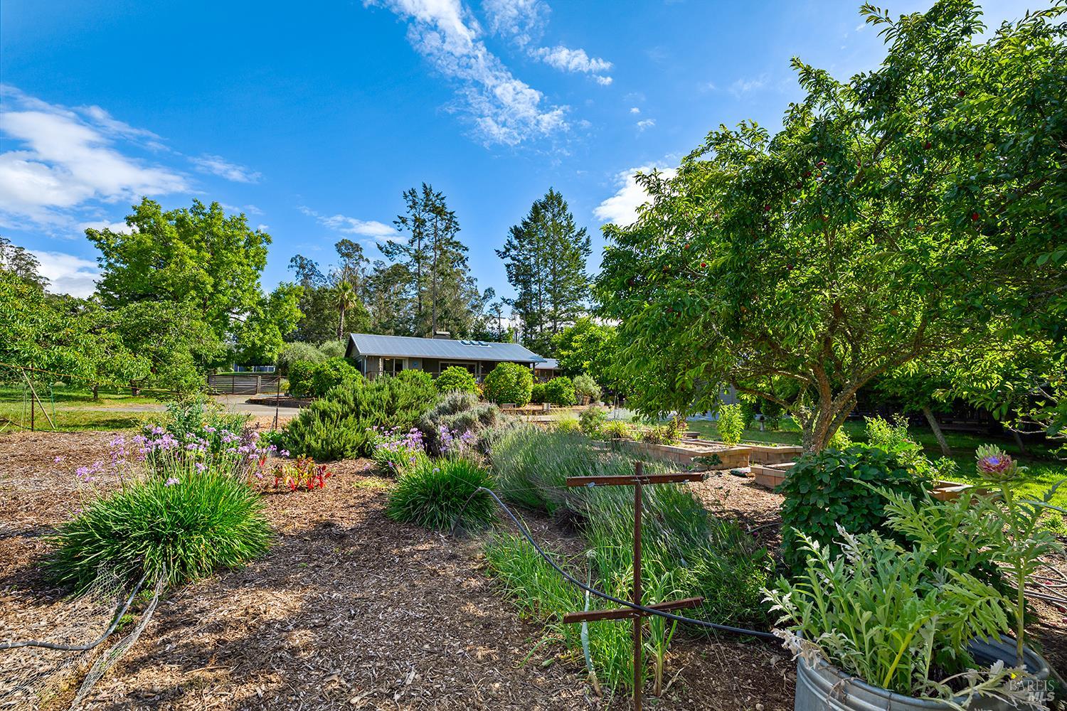2630 Burnside Road