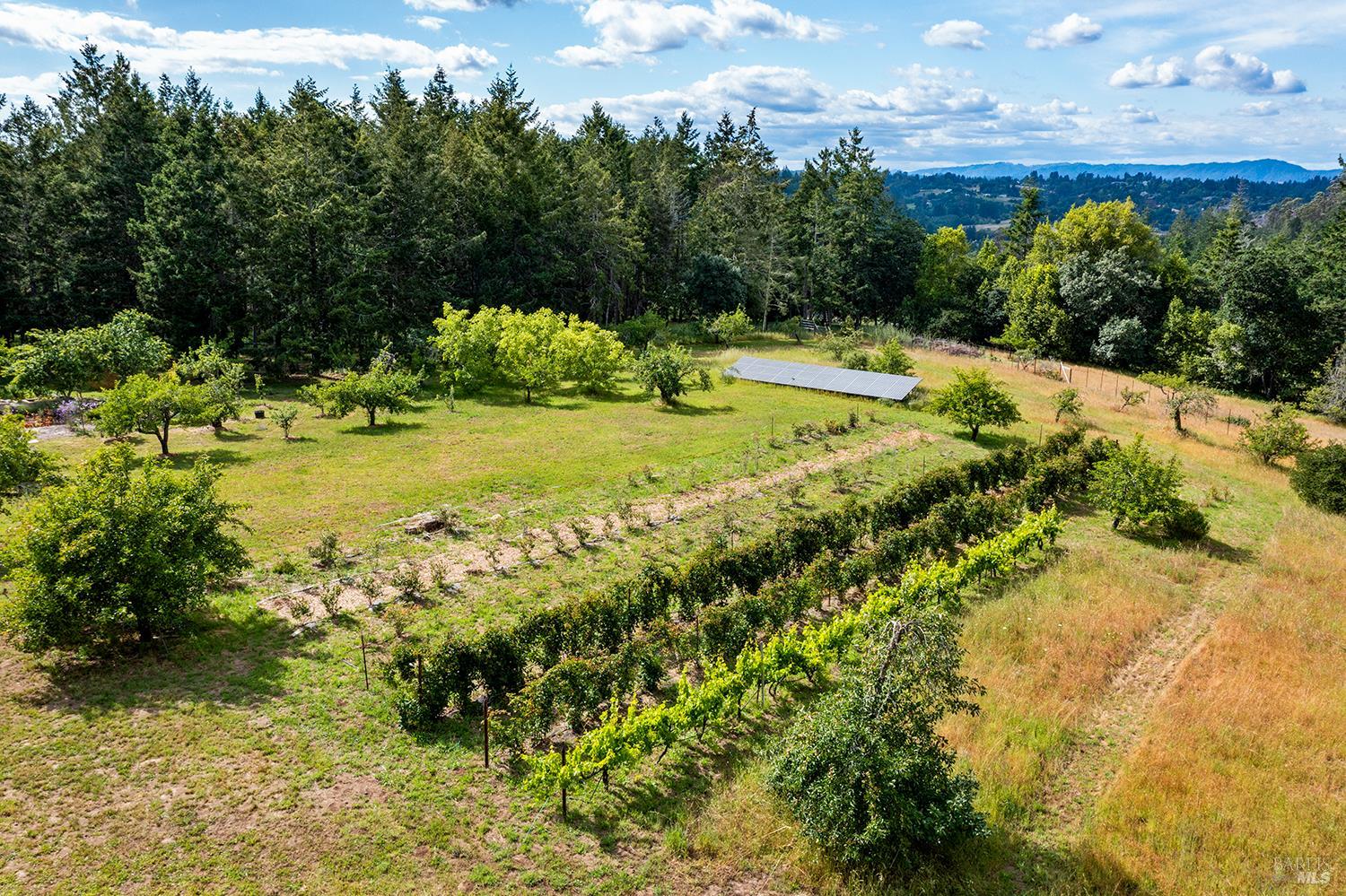 2630 Burnside Road