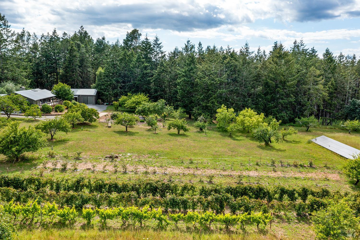 2630 Burnside Road
