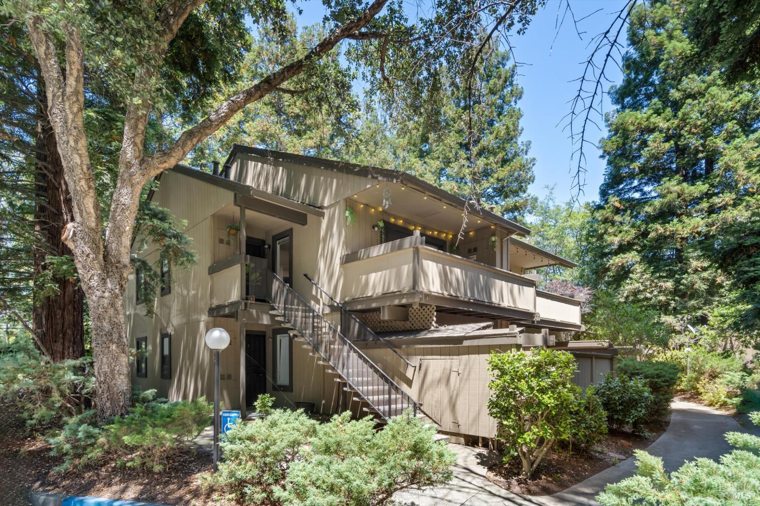 107 Nicholas Court