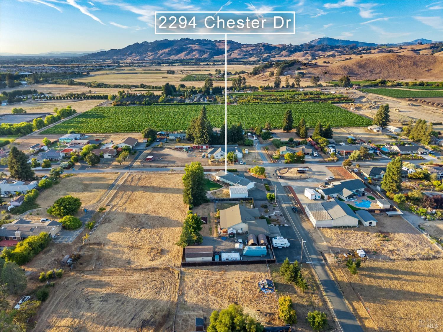 2294 Chester Drive