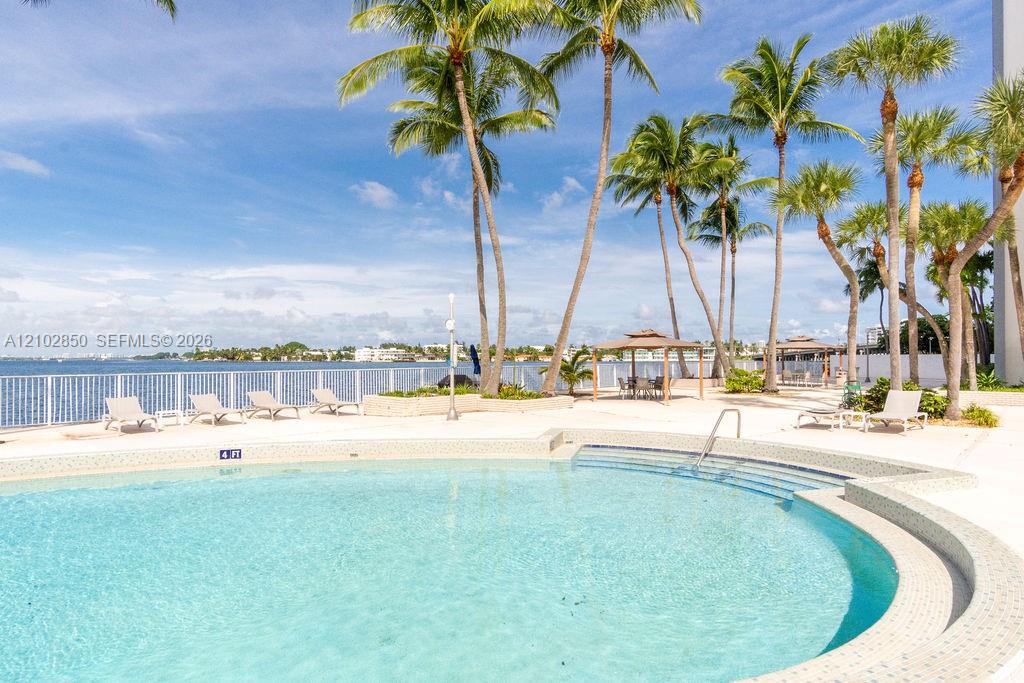 Outdoor pool with a curved edge, palm trees, and lounge chairs beside the bay.