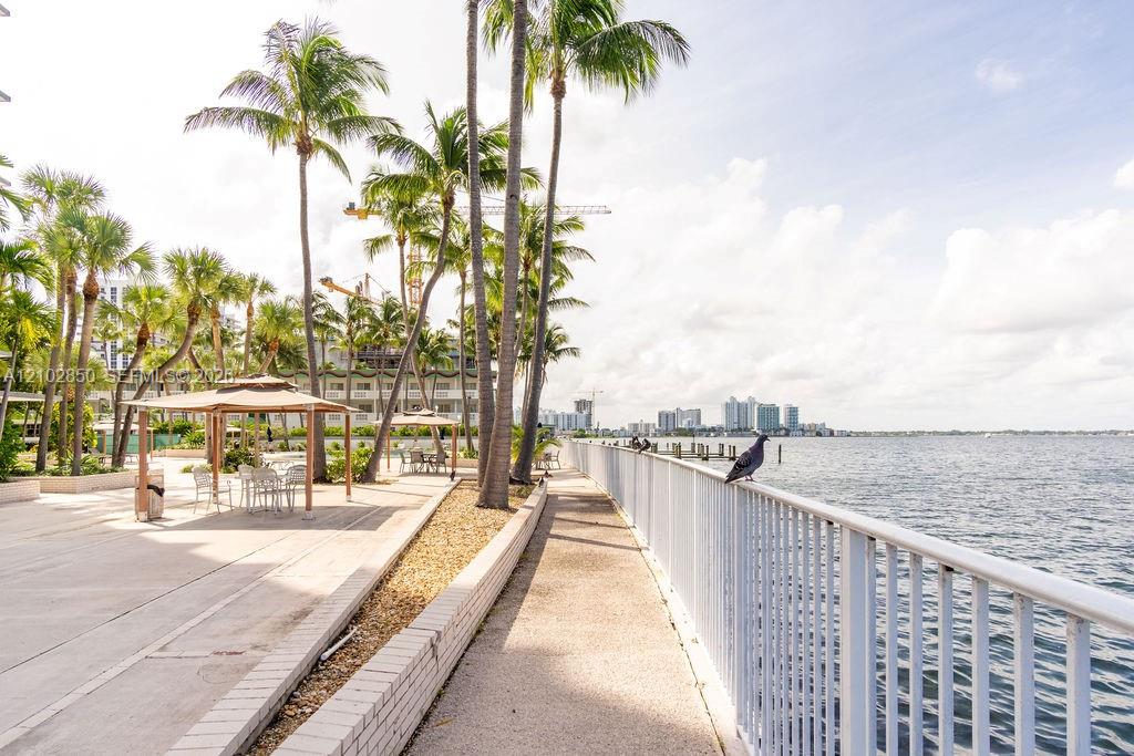 Waterfront promenade with palm trees, patio seating, and a bird perched on the railing.