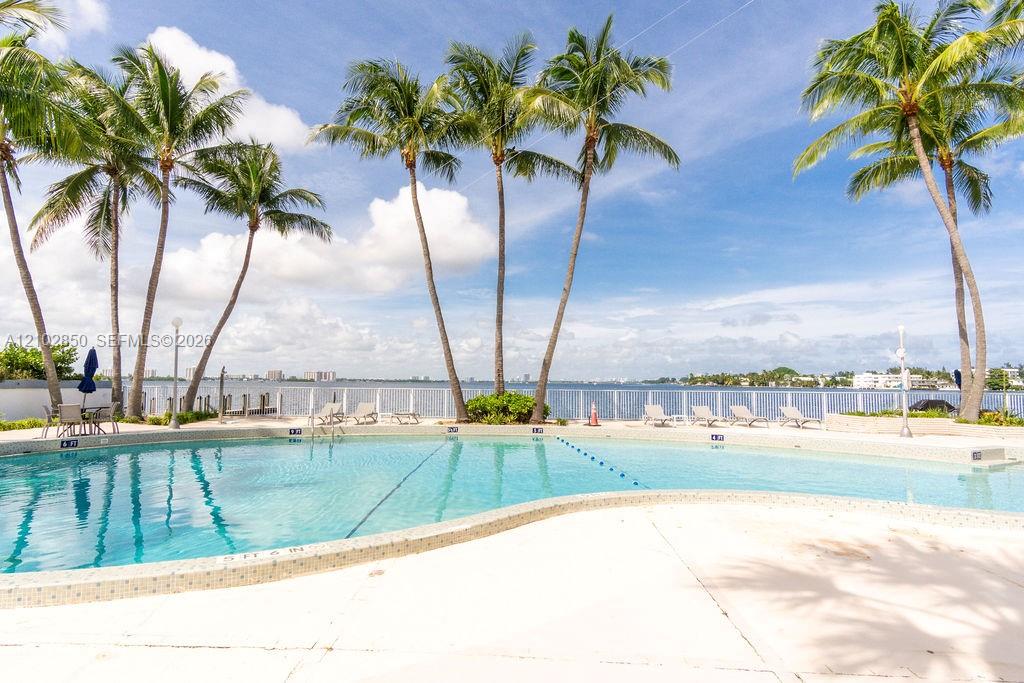 Waterfront swimming pool lined with palm trees and lounge chairs, with a distant shoreline.