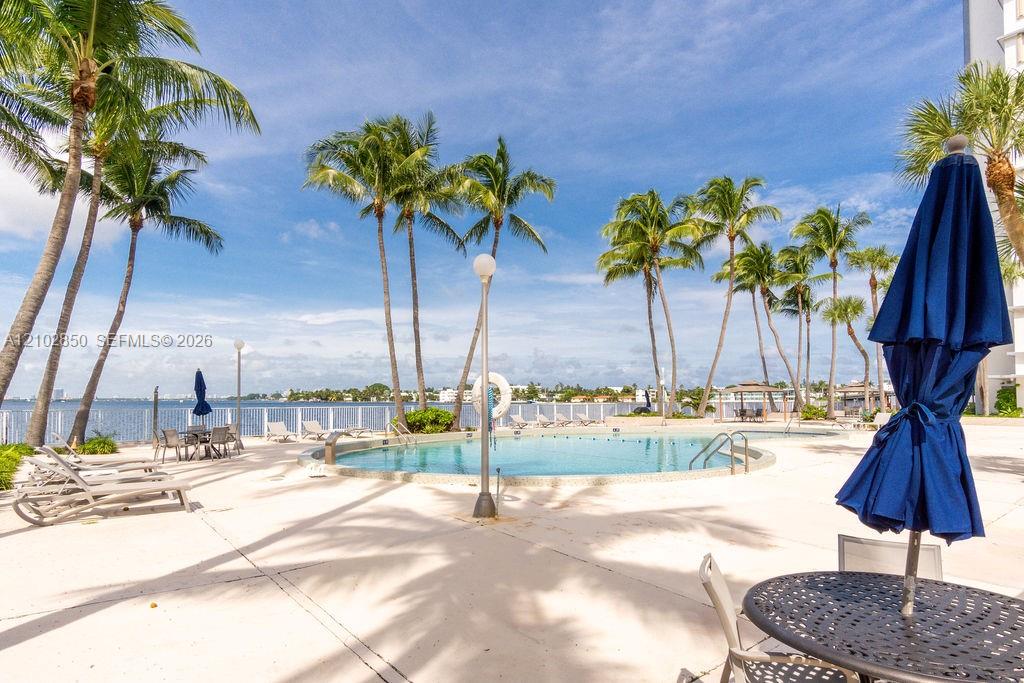 Condominium pool beside the bay, surrounded by palm trees and lounge chairs.
