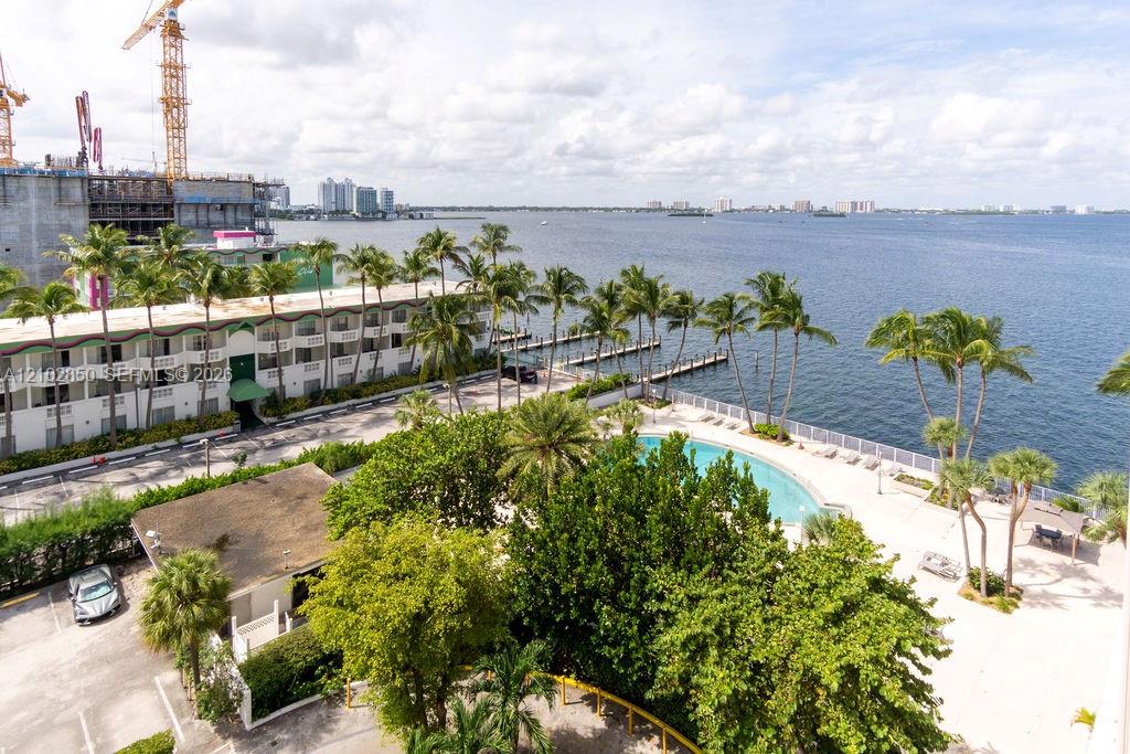 Aerial view of a waterfront condominium pool, palm trees, and bay.