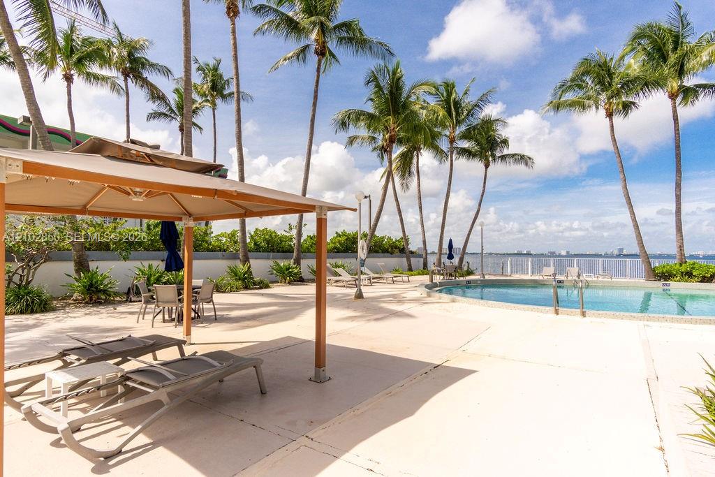 Waterfront pool patio with palm trees, lounge chairs, and a shaded dining area.