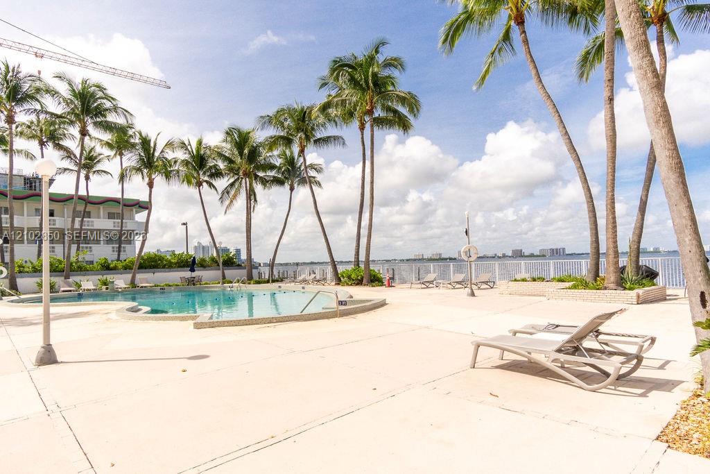 Condominium pool deck with palm trees, lounge chairs, and a bay view.