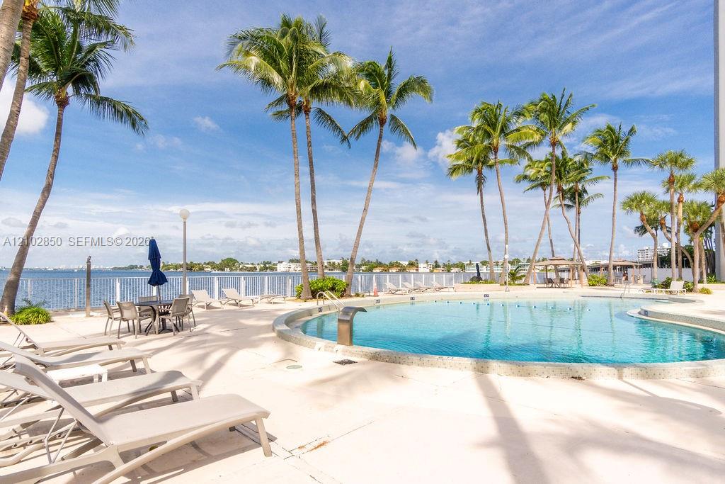 Waterfront swimming pool surrounded by palm trees and lounge chairs.