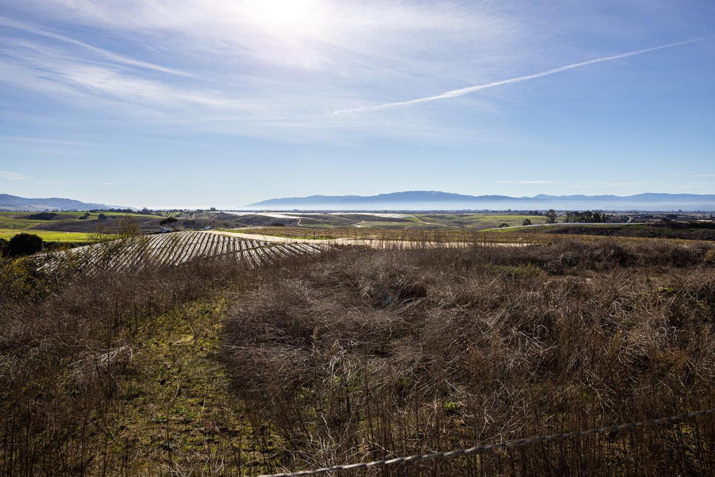 10251 Golden Meadow CIR