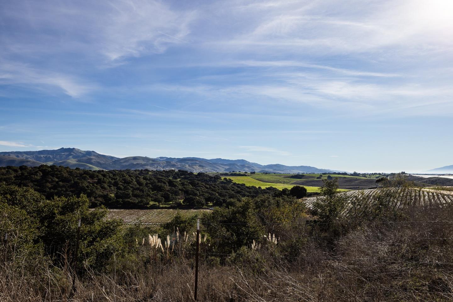 10251 Golden Meadow CIR