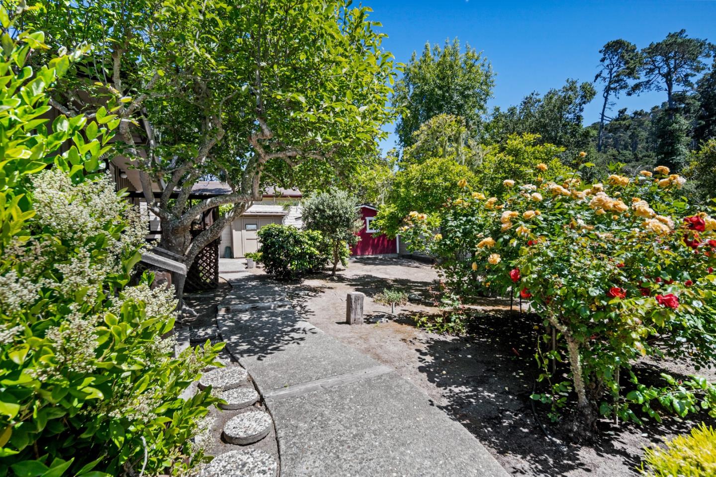 111 Littlefield Road