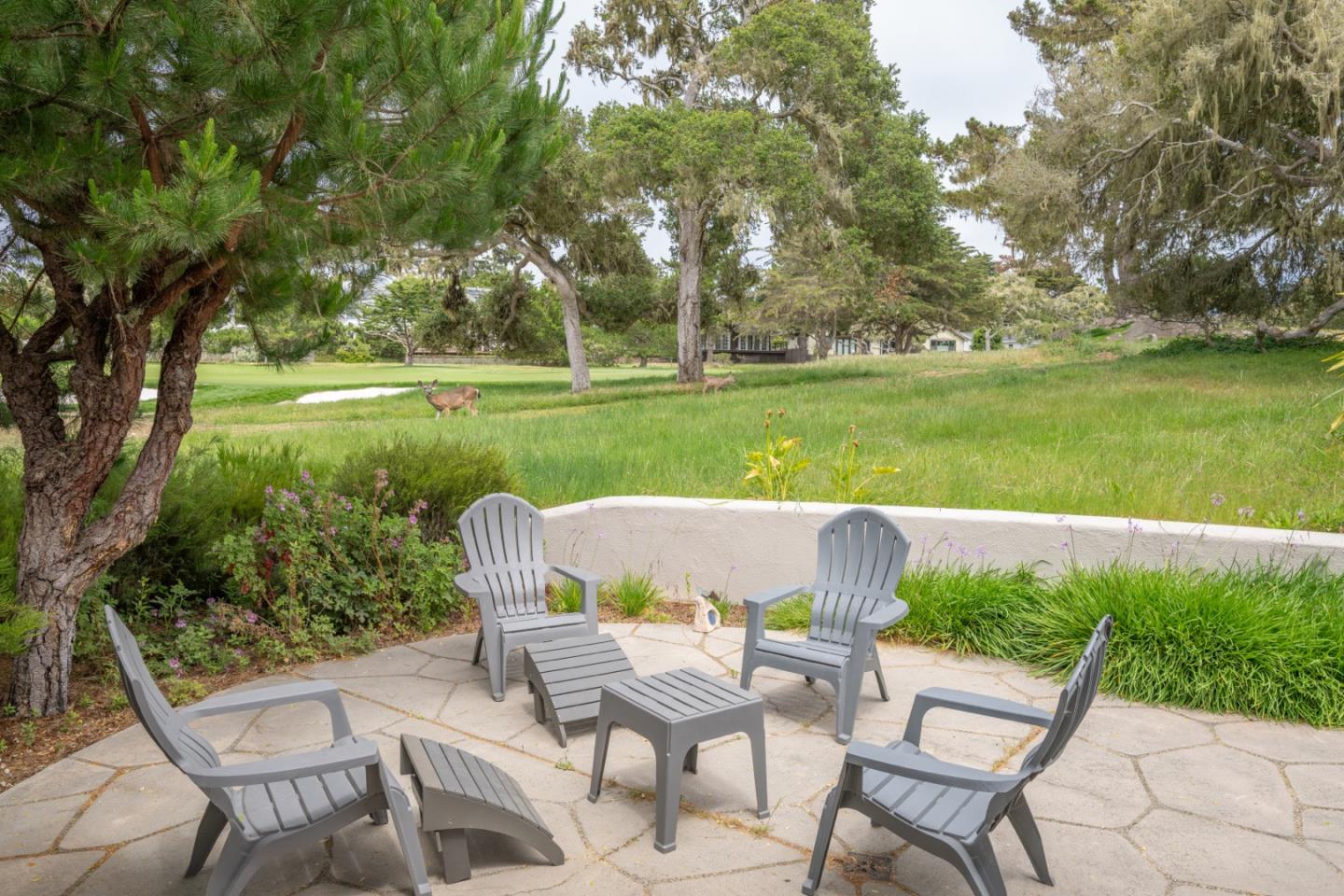 3045 Stevenson Drive