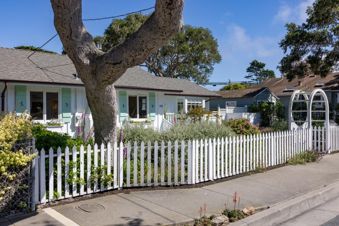 315 Willow Street