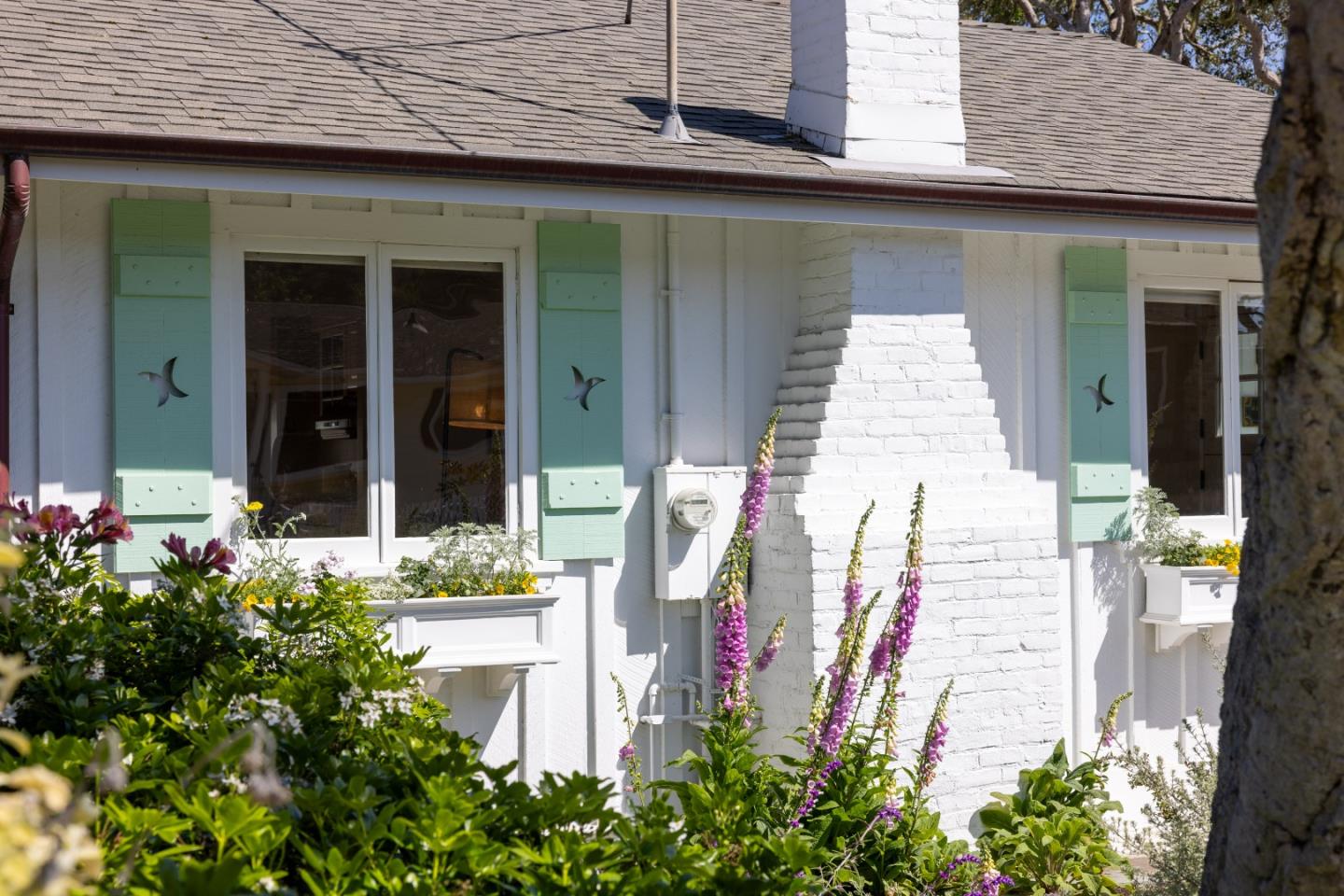 315 Willow Street