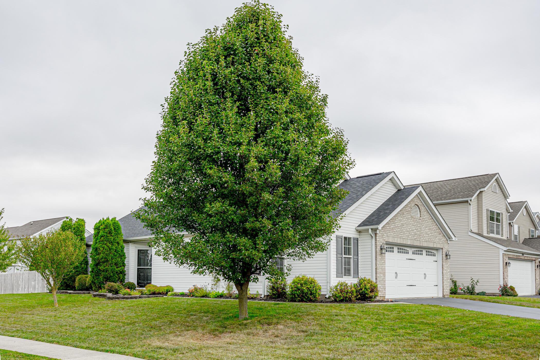 5832 Wooden Plank Road