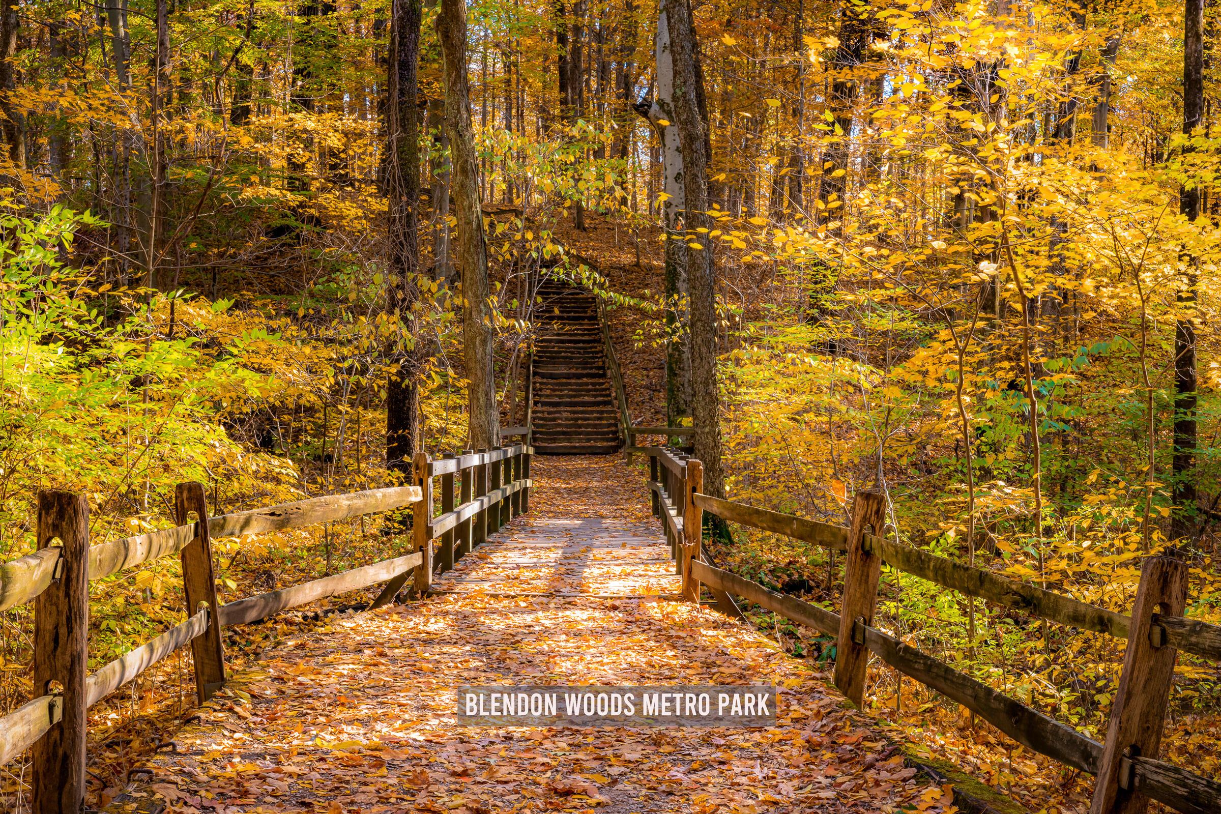 5000 Deer Forest Place