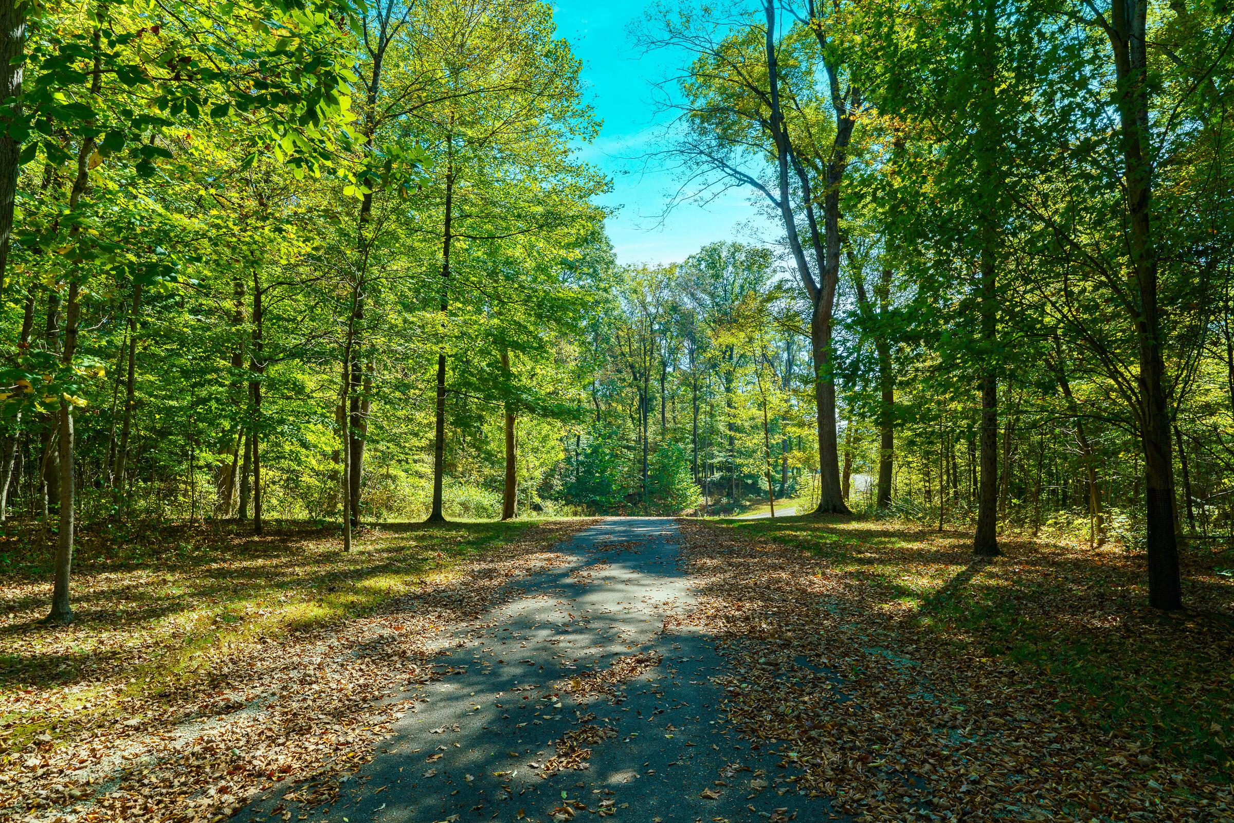 780 Home Road