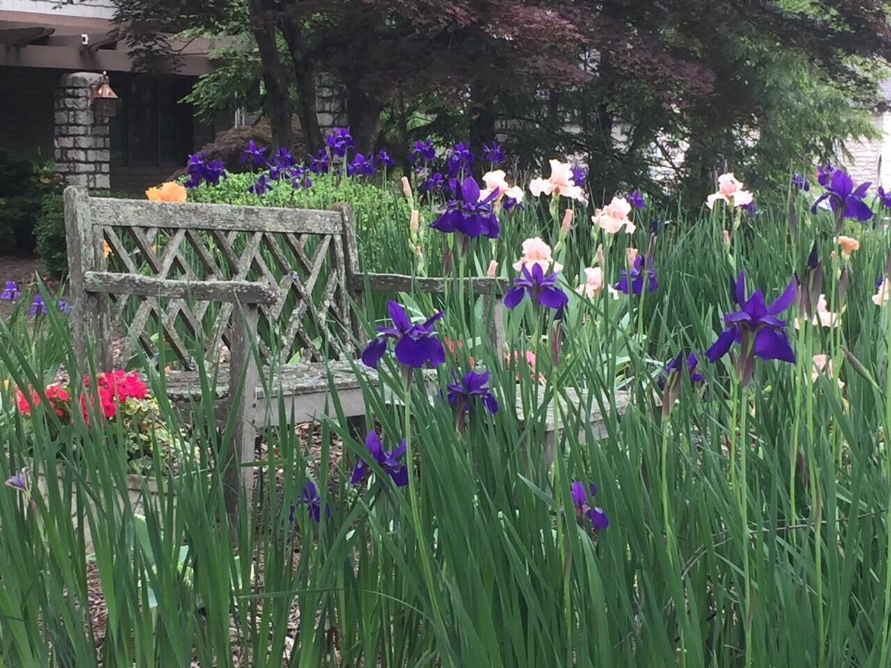 6500 Plesenton Drive