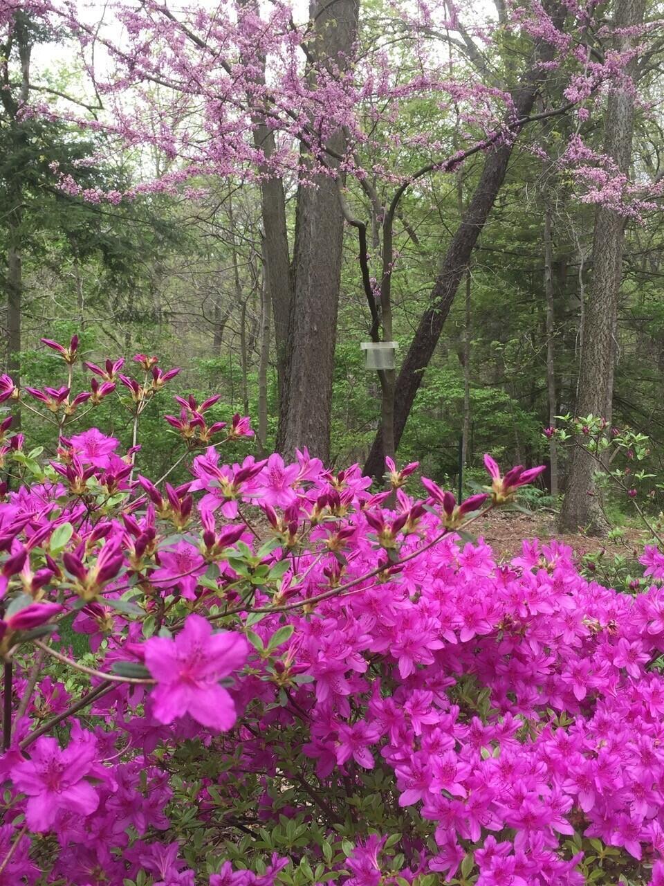 6500 Plesenton Drive