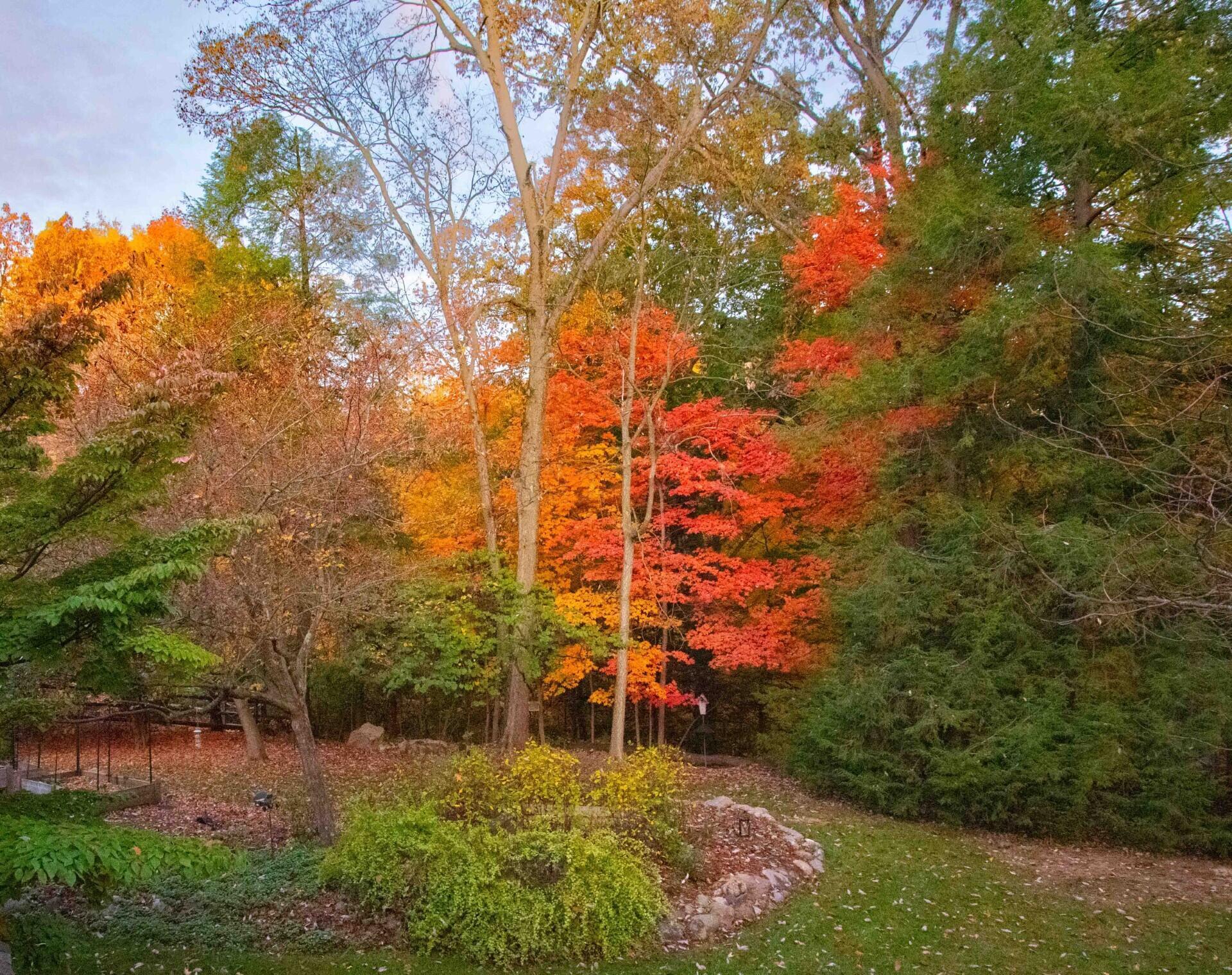 6500 Plesenton Drive