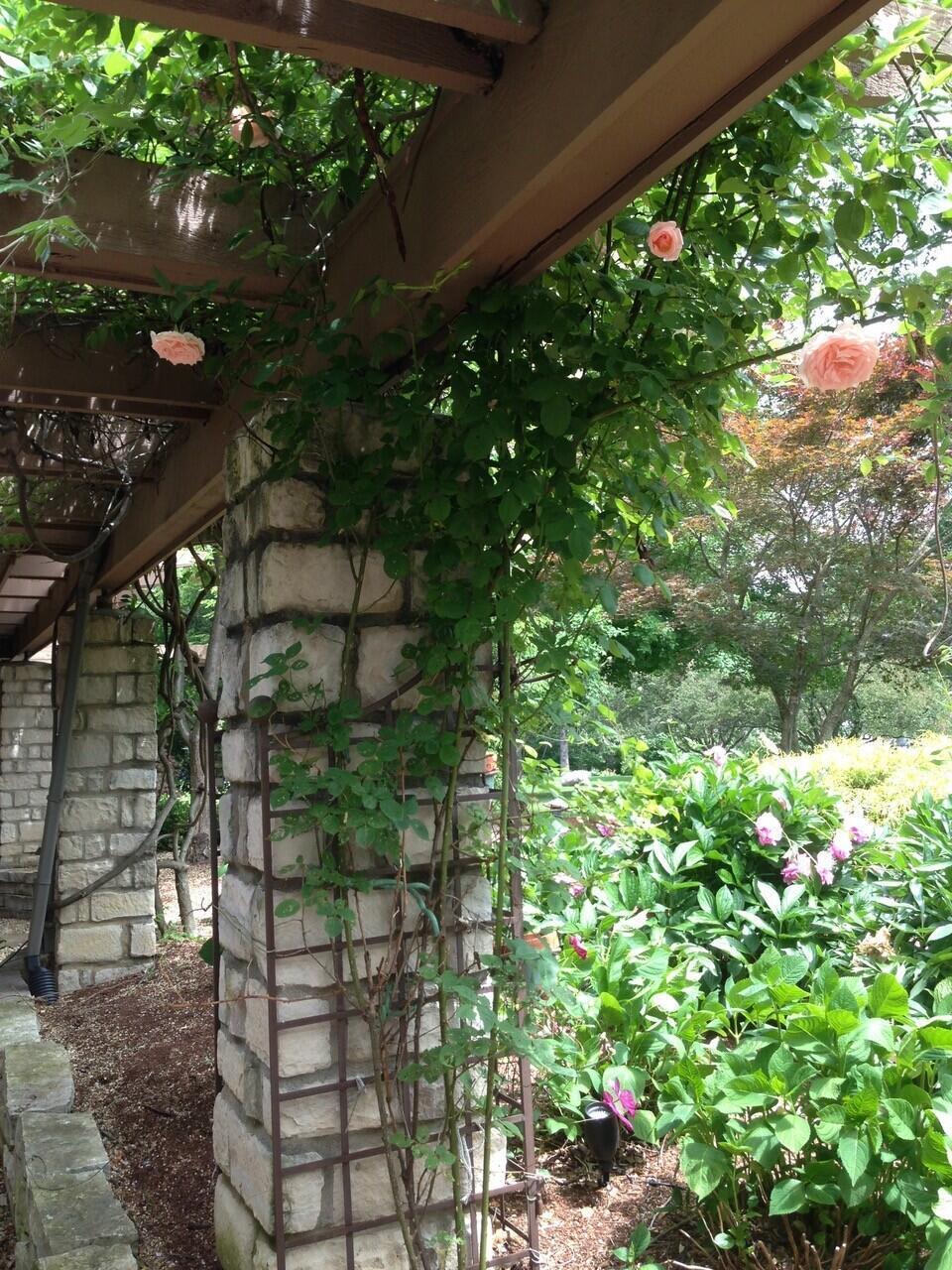 6500 Plesenton Drive