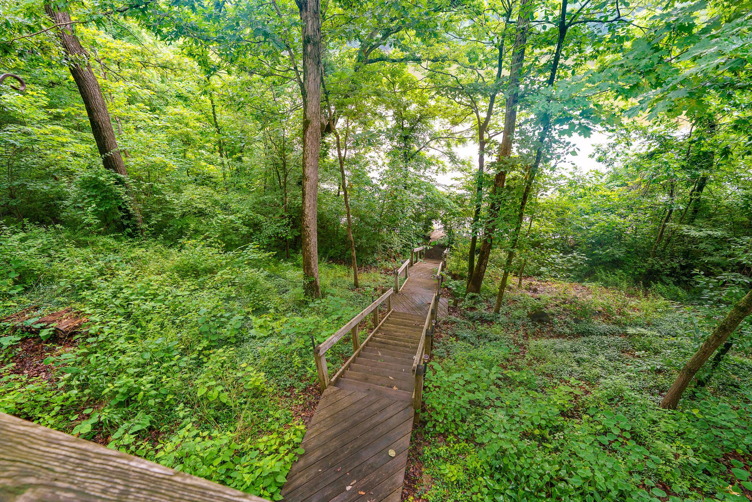 6533 Lake Of The Woods Point