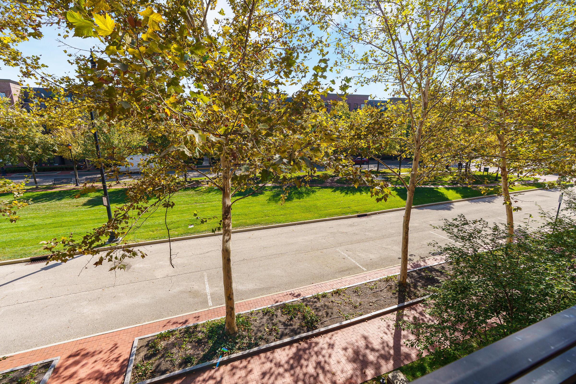 828 Bobcat Avenue, 205