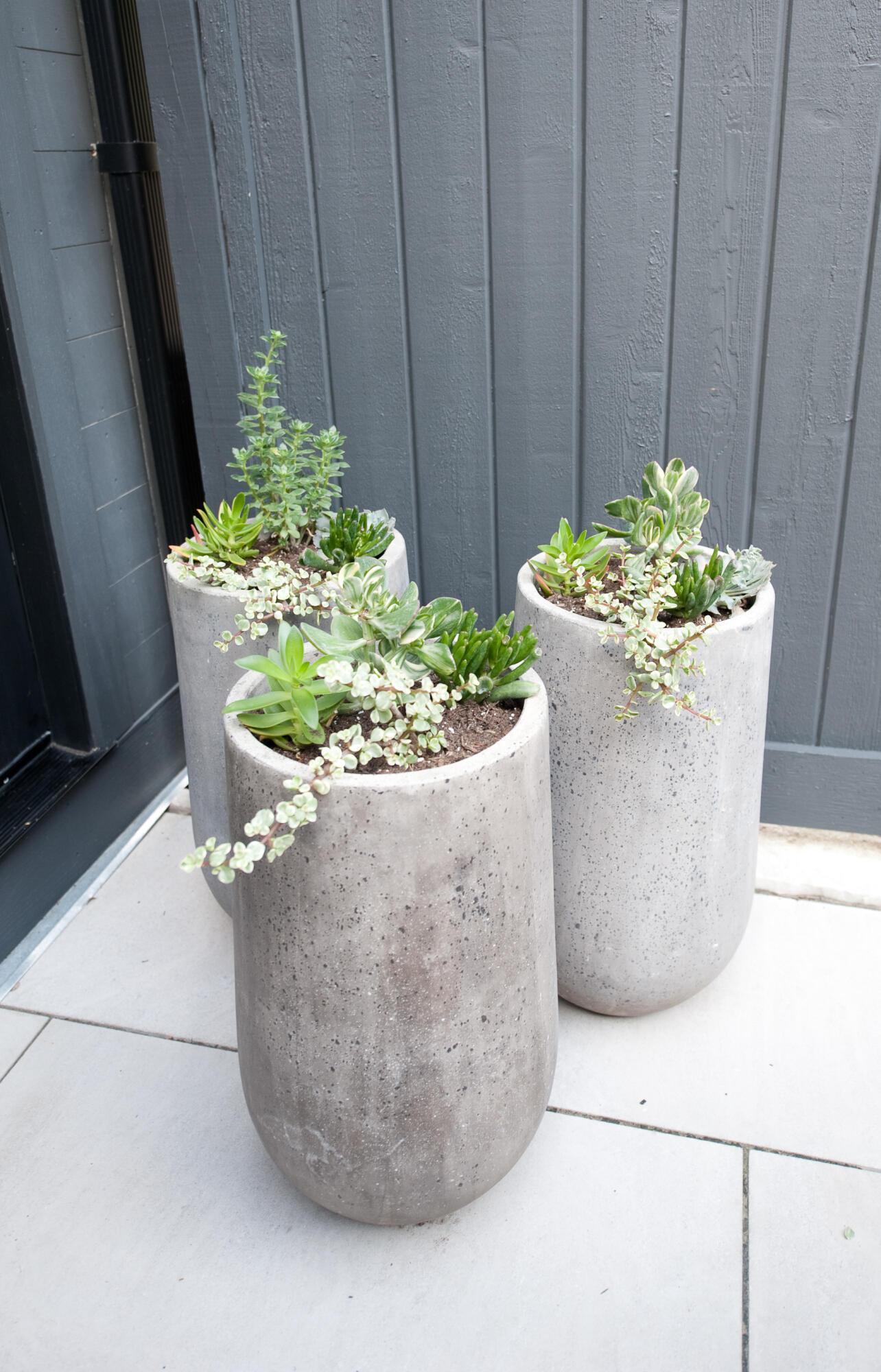 186 E Sycamore Street