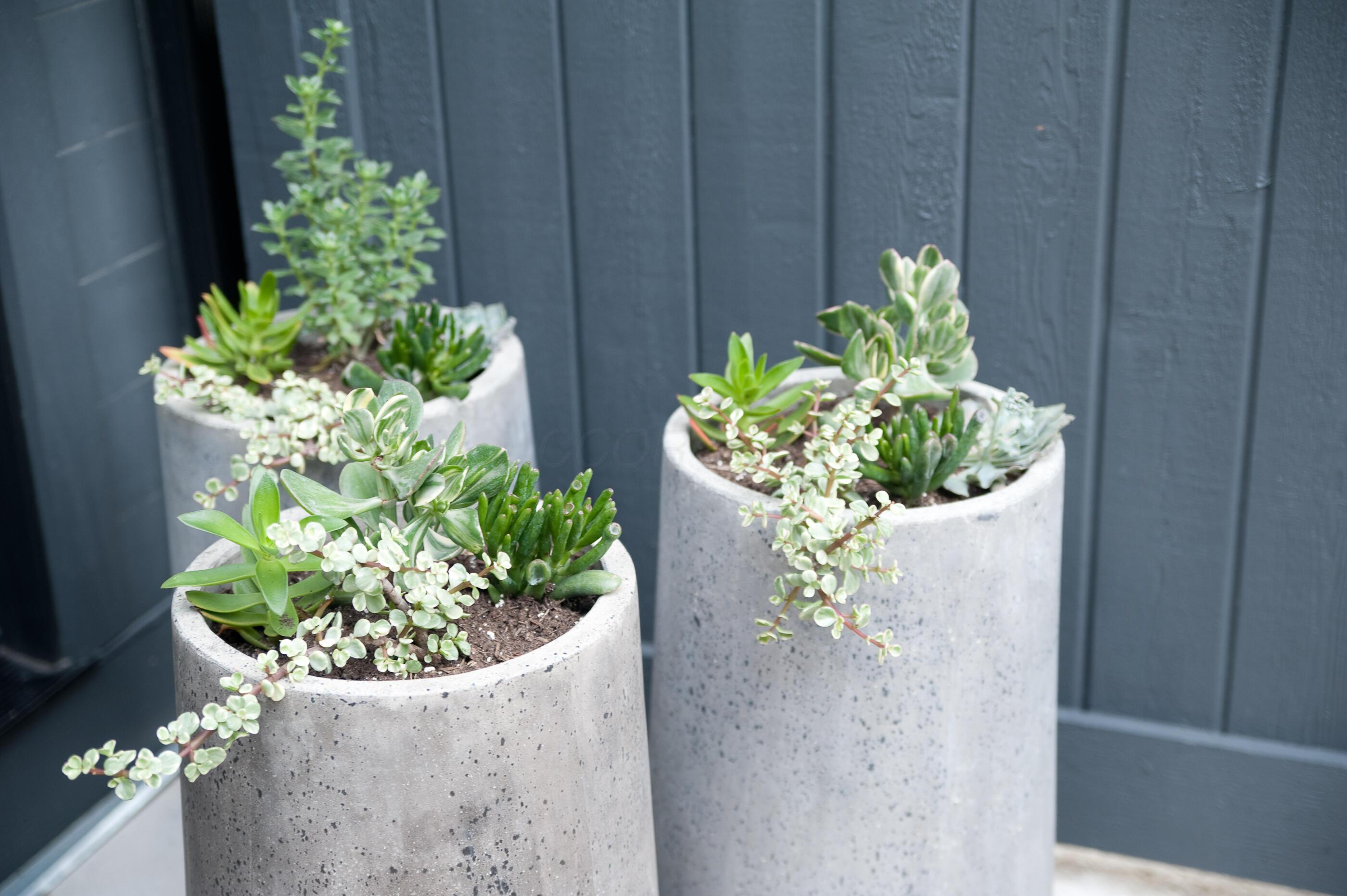 186 E Sycamore Street